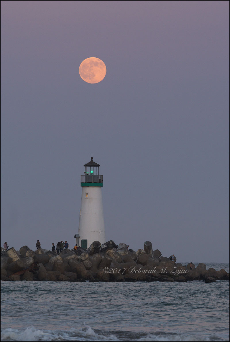 Copyright © Deborah M. Zajac
ALL RIGHTS RESERVED