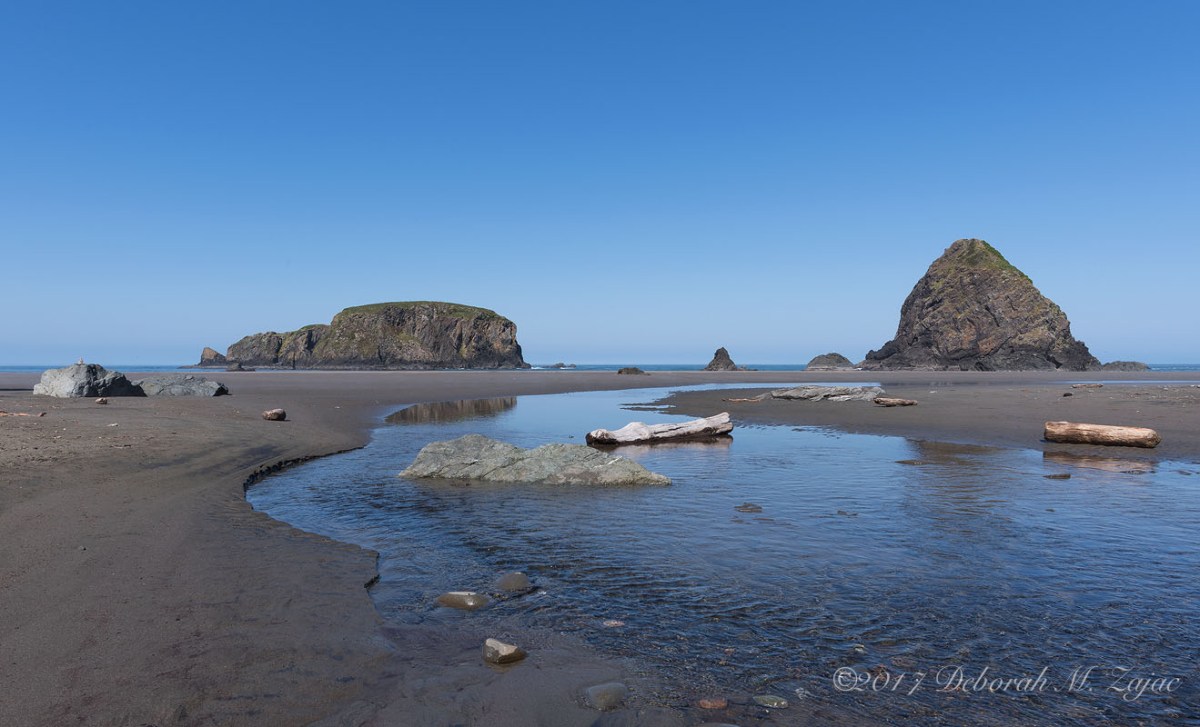 “Let yourself be silently drawn by the strange pull of what yo