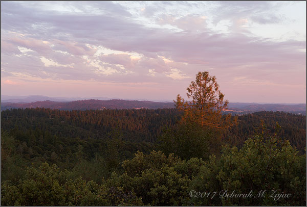 Wordless Wednesday 32/52 Amador County
