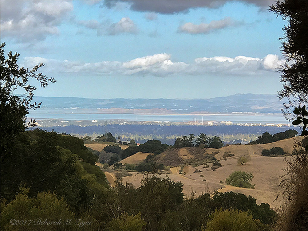 View of the Pennisula from the Trail