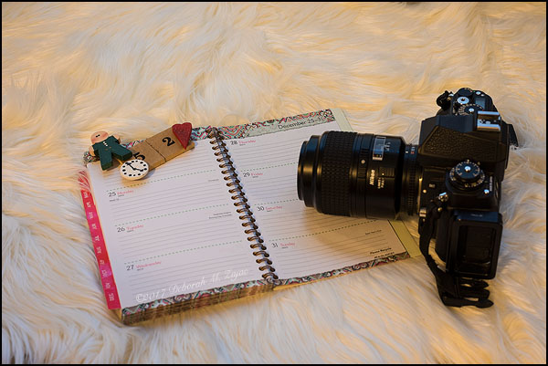 52 weeks of Wordless Wednesday