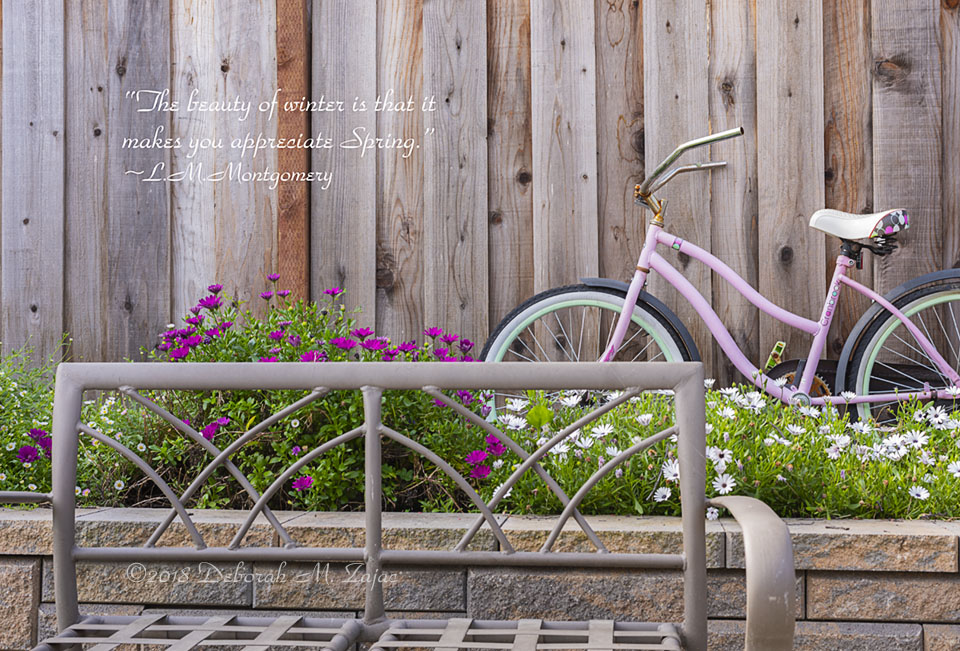 Bicycle among the Flowers