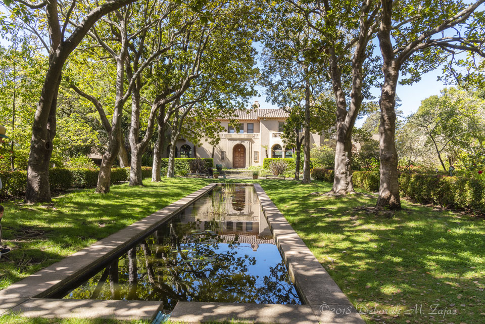 Private Building with Koi Pond reflection
