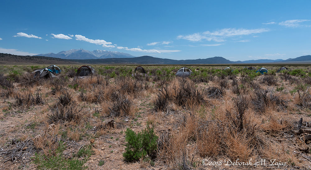 Tents set up at Lower Camp