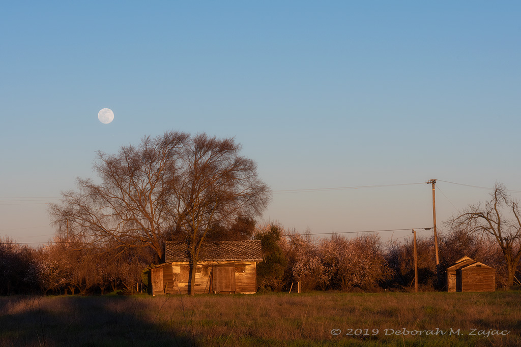 February's Rural Full Moon