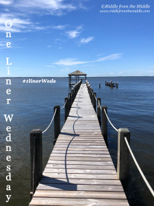 2019-20-1linerweds-badge