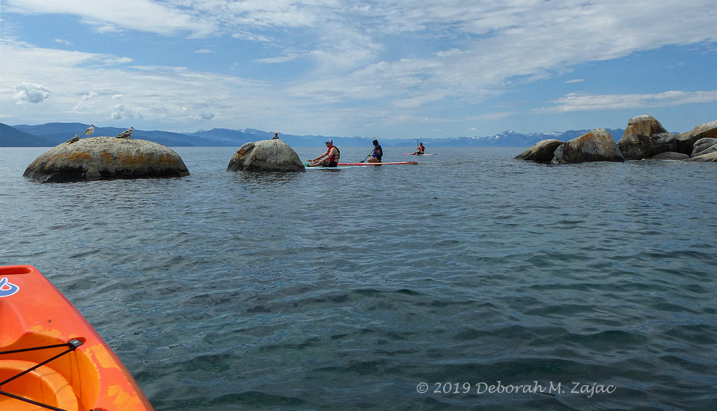 A View from my kayak