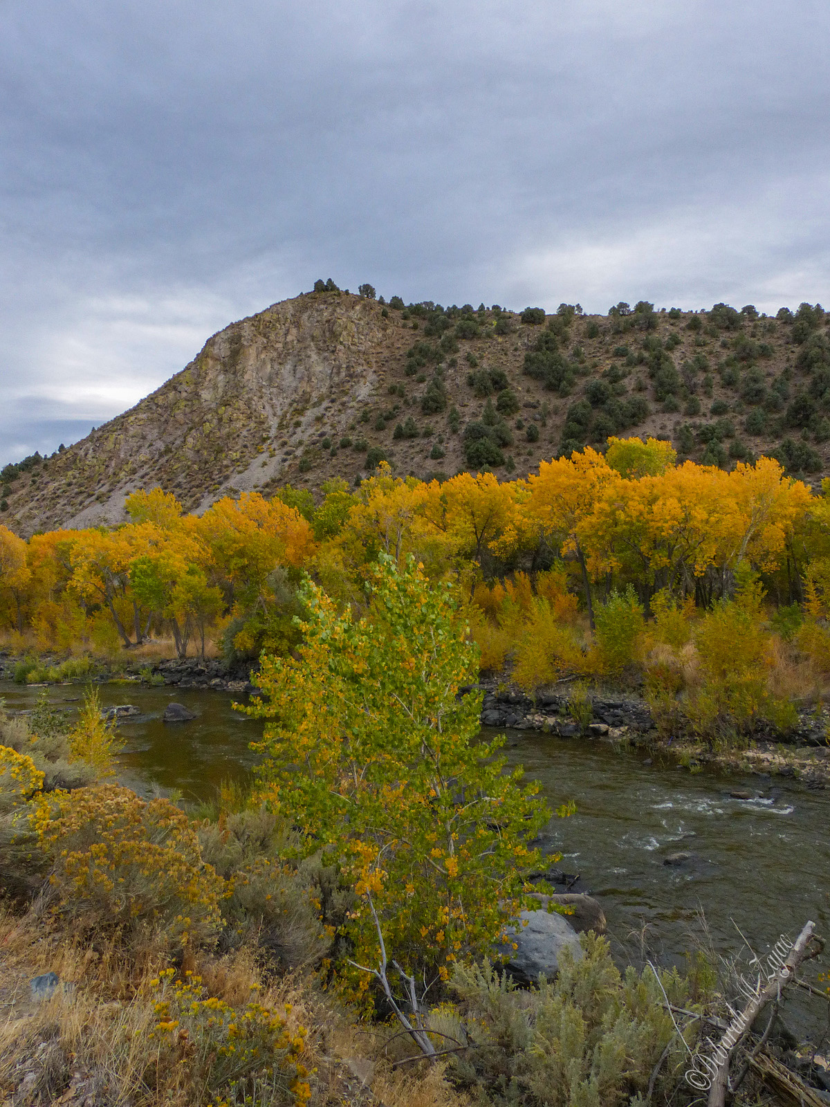 Carson River Canyon