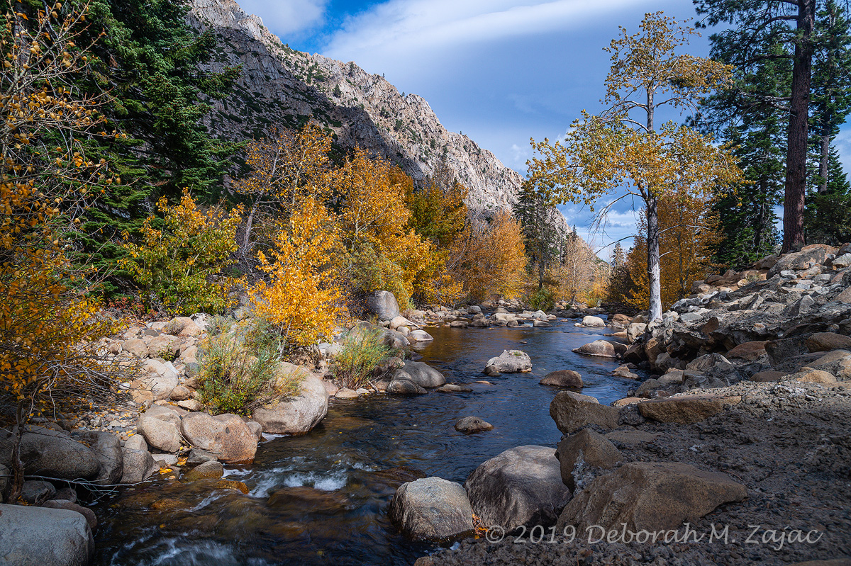 Fall along the Walker River