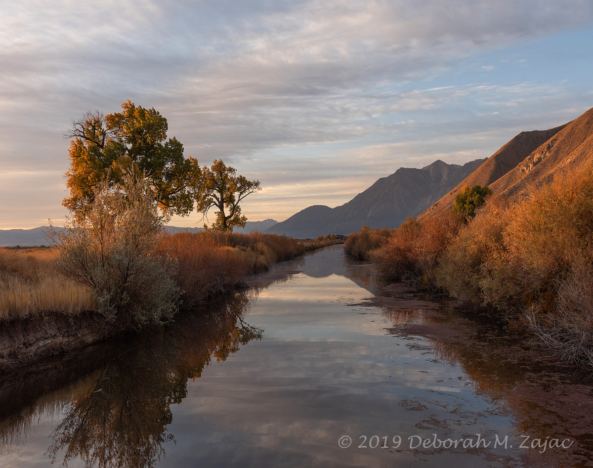 Fall Morning Carson Valley 2019