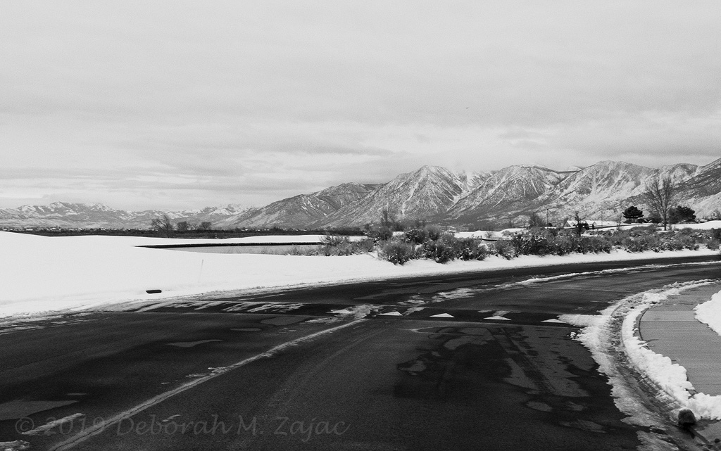 Snowy Day in the Neighborhood