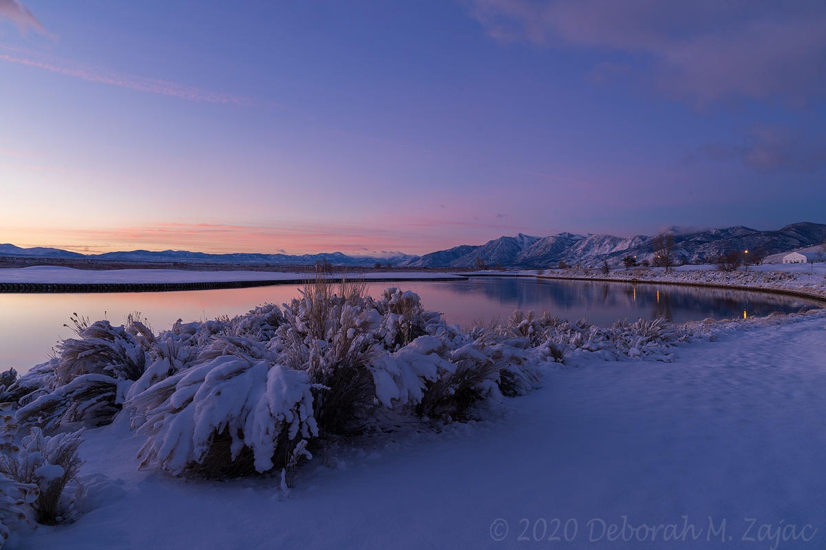 Daybreak on the Pond