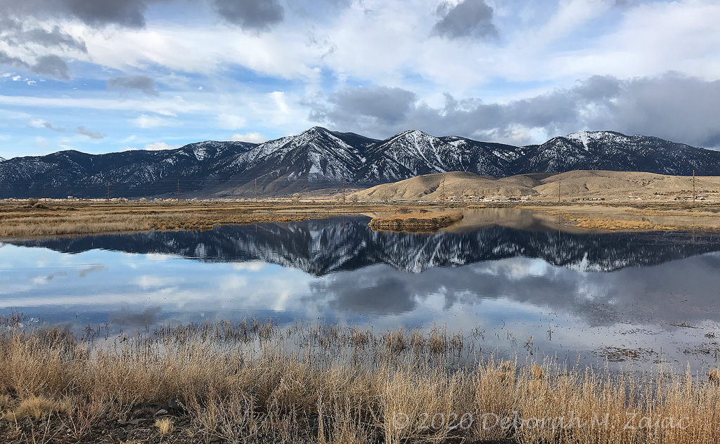 IVGID Wetlands Tour Reflections