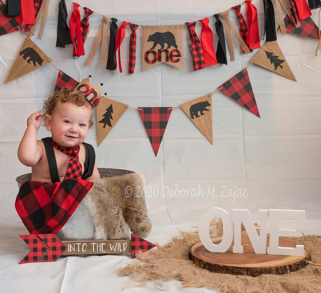 Landon's 1st Birthday Photoshoot