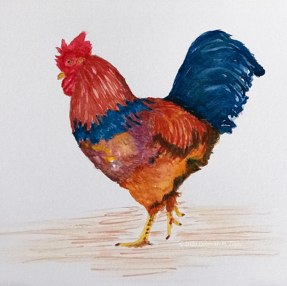 Rooster_198CC240-54E4-4CD1-9795-776A44B43BBA