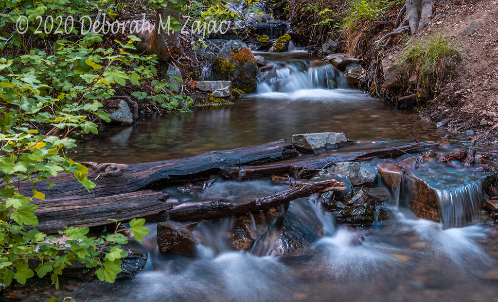 Stream in the Genoa Canyon