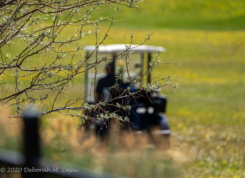 Copyright © Deborah M. Zajac
ALL RIGHTS RESERVED